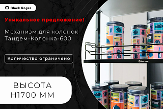 Механизм для колонок ТАНДЕМ 2