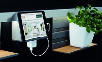 ЛинероМозаик